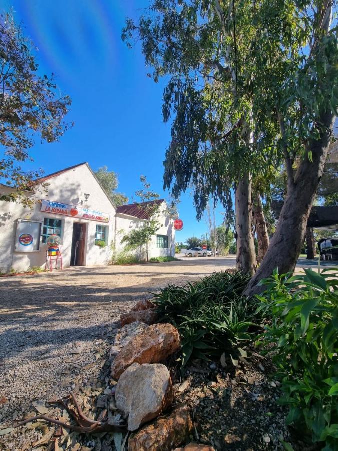 Camping La Naranja Hotel Gandía Kültér fotó