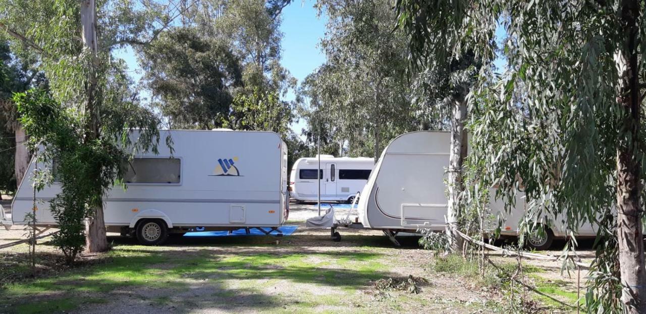 Camping La Naranja Hotel Gandía Kültér fotó