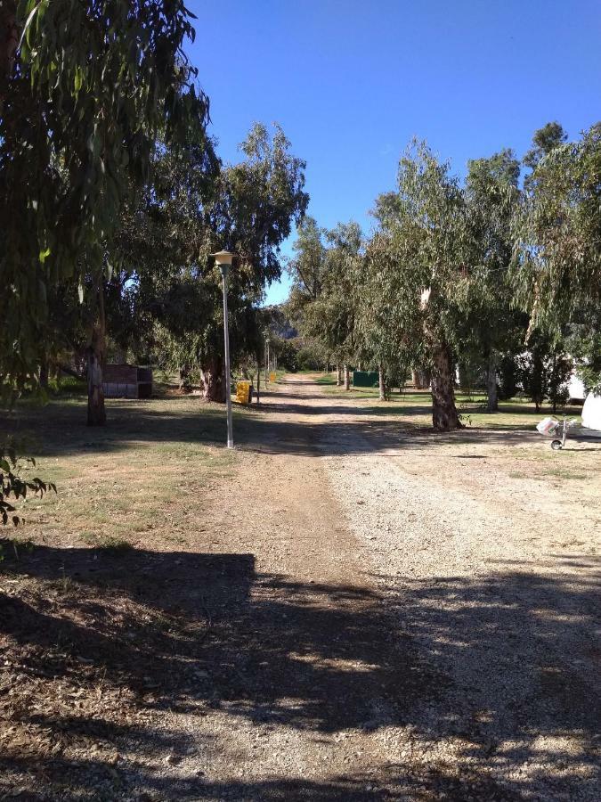 Camping La Naranja Hotel Gandía Kültér fotó
