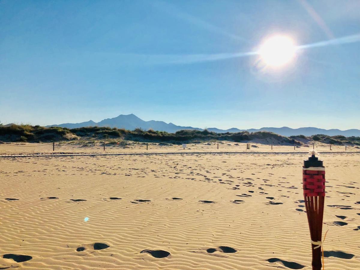 Camping La Naranja Hotel Gandía Kültér fotó
