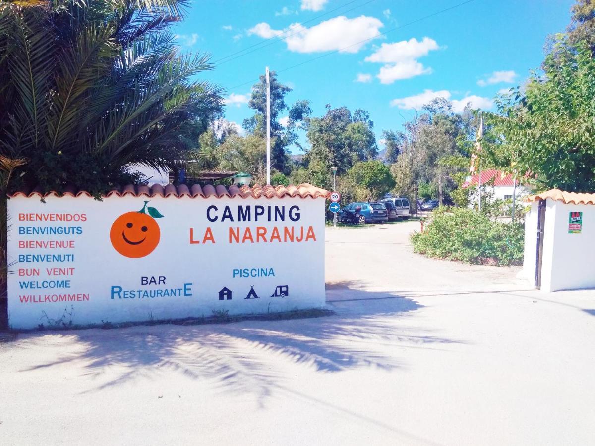 Camping La Naranja Hotel Gandía Kültér fotó